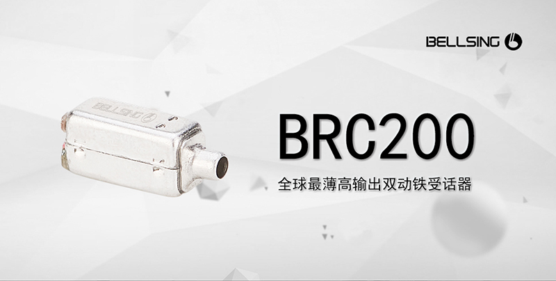 BRC200-5.jpg